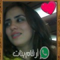 ليلى من طنطا أرقام بنات واتساب 